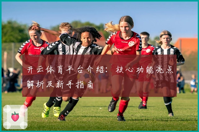 开云体育平台介绍：核心功能亮点解析及新手指南