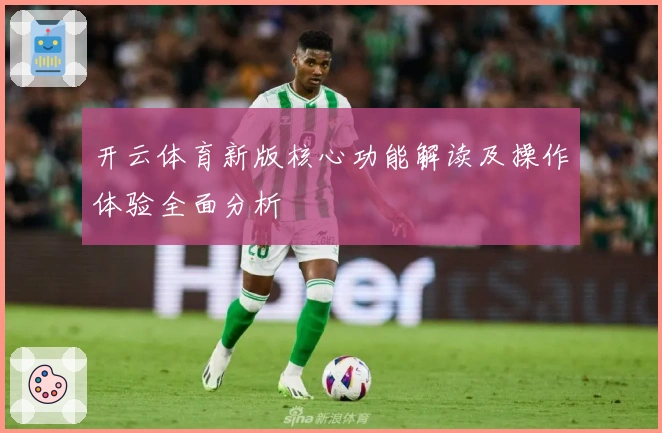 开云体育新版核心功能解读及操作体验全面分析
